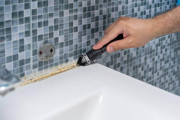 Best Mold Testing  in Maricopa, AZ