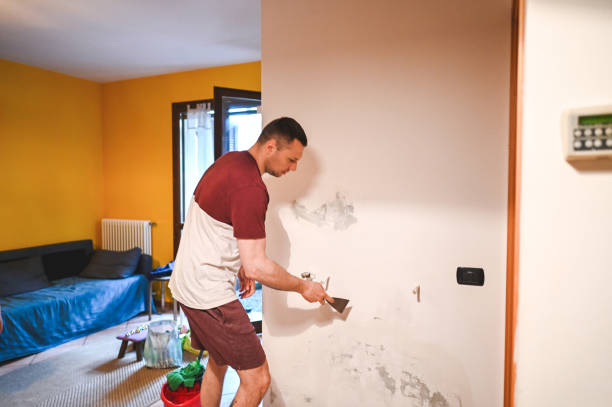 Best Residential Mold Removal  in Maricopa, AZ